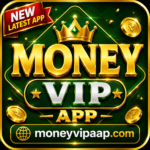 Money VIP app